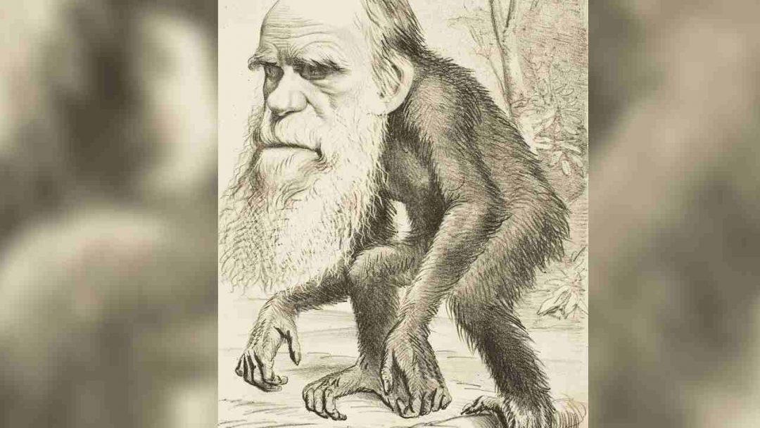 Darwinova evolučná teória