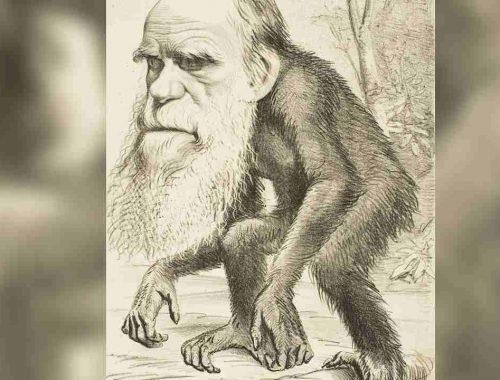 Darwinova evolučná teória