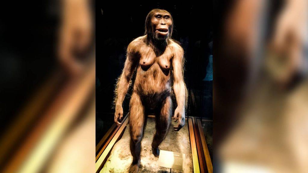 Prečo moderní ľudia nemajú srsť, keď ju mali naši predkovia? Vedci vyriešili záhadu, na ktorú sme dlho nemali...