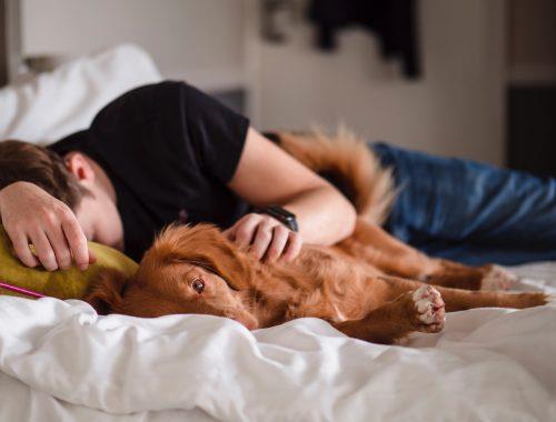 spanie v posteli so psom a kvalita spanku