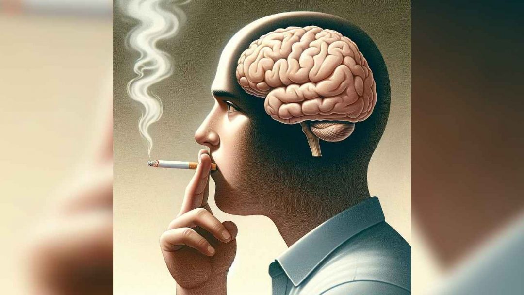Mozog a fajcenie_titulka