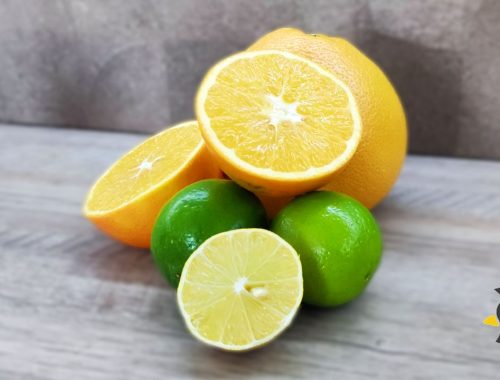 citron pomaranc grep limetka citrusy